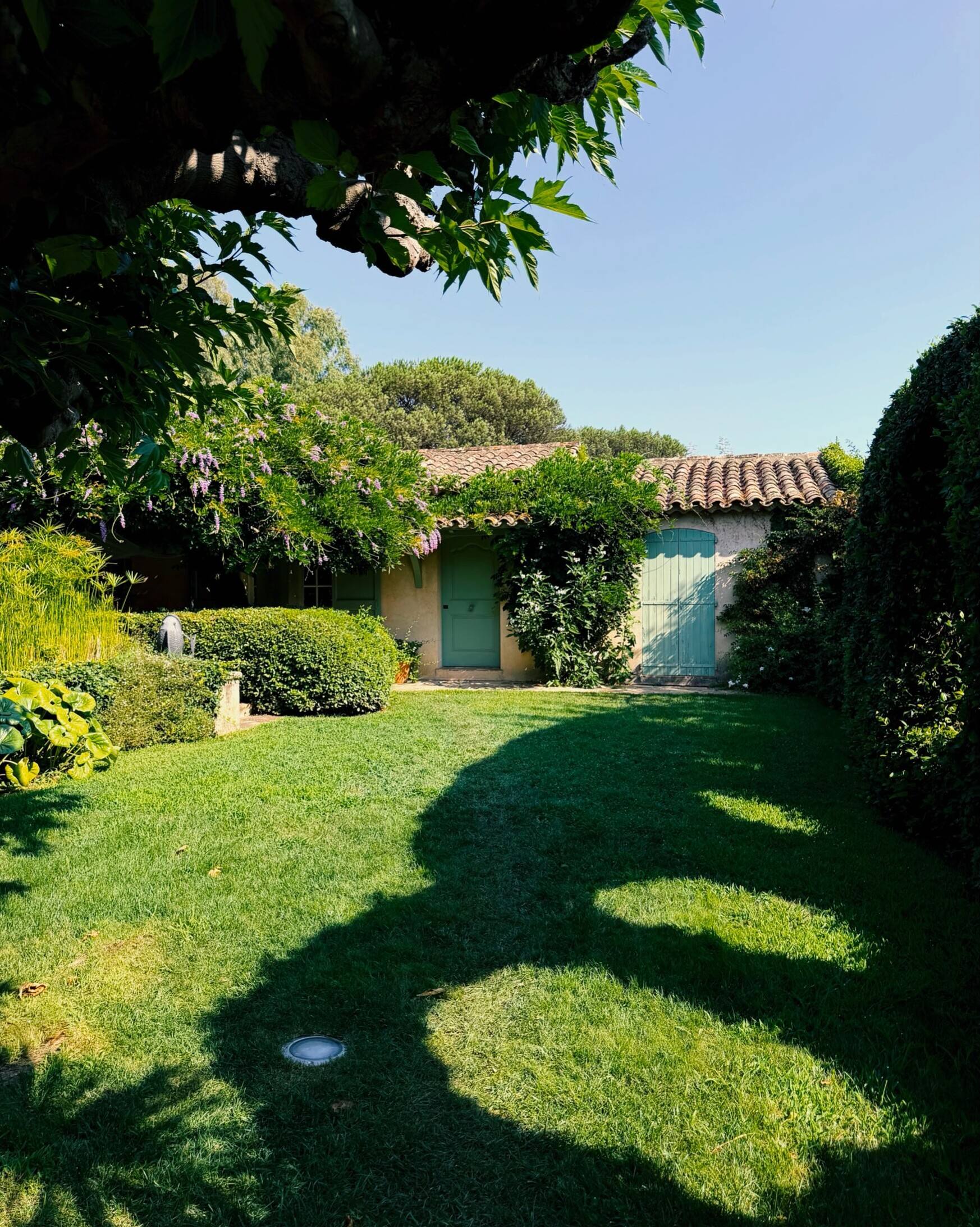 Jardin d’une maison du Sud au soleil : pelouse, ombre des arbres, façade aux volets verts.