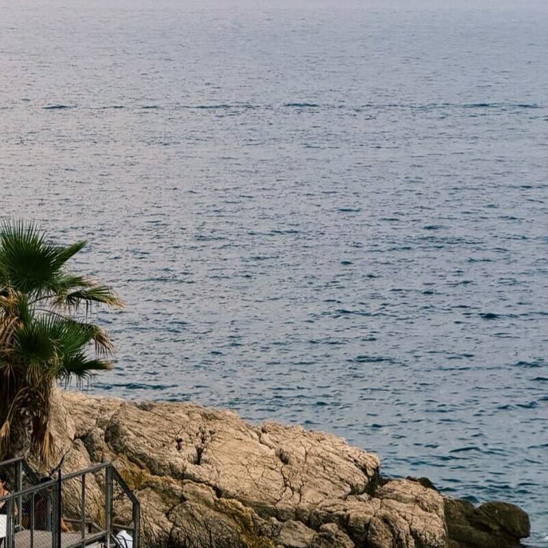 La Méditerranée vue d’en haut : la mer calme, des rochers et un palmier.